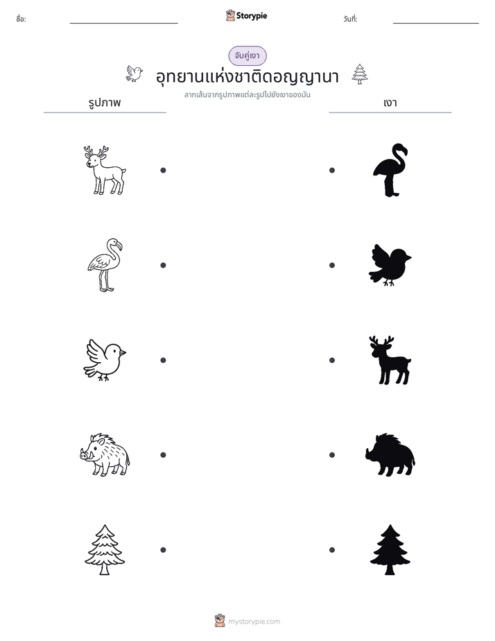 จับคู่เงา