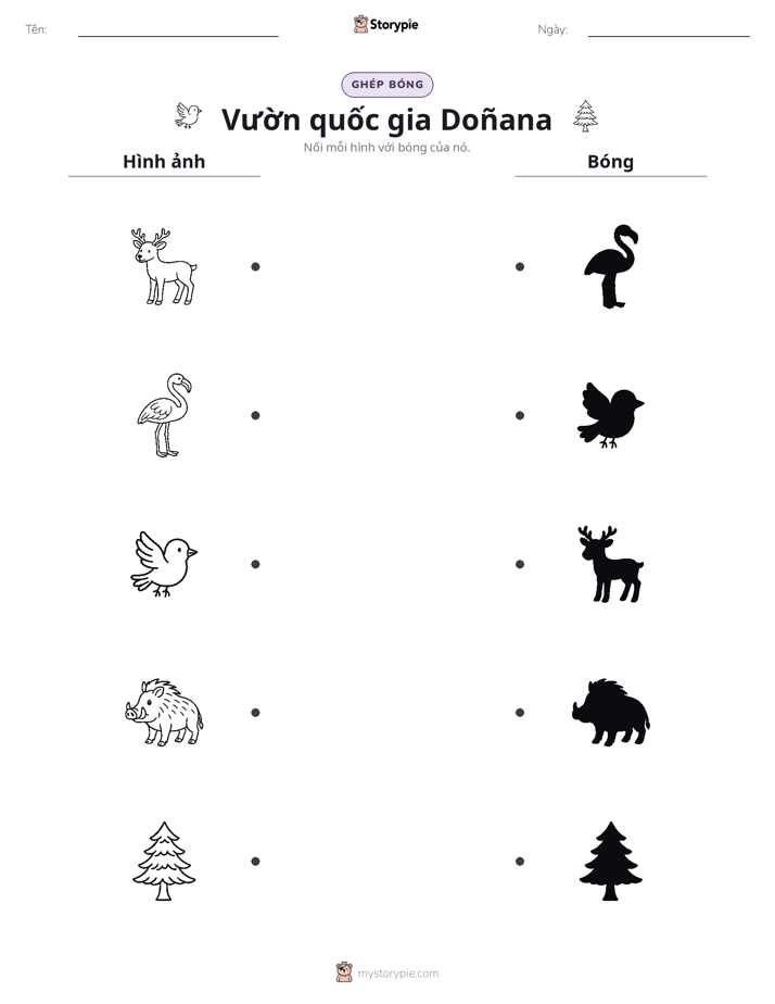 Ghép Hình Bóng