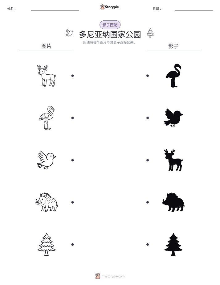 影子匹配