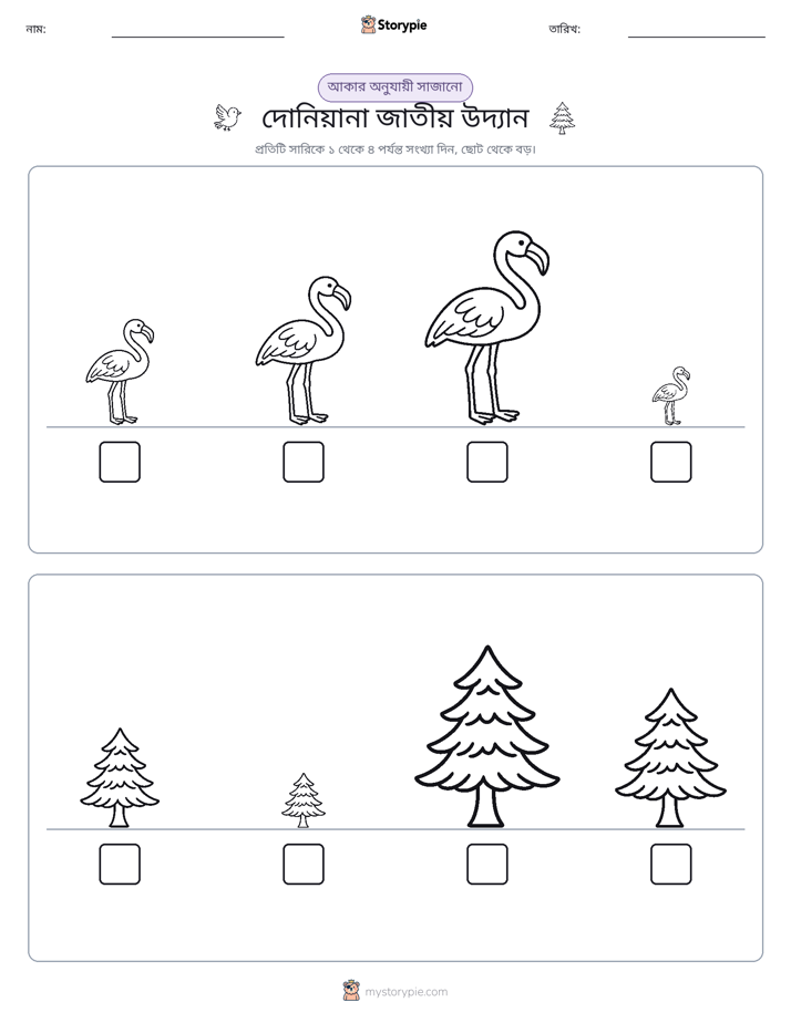 আকারের ক্রম