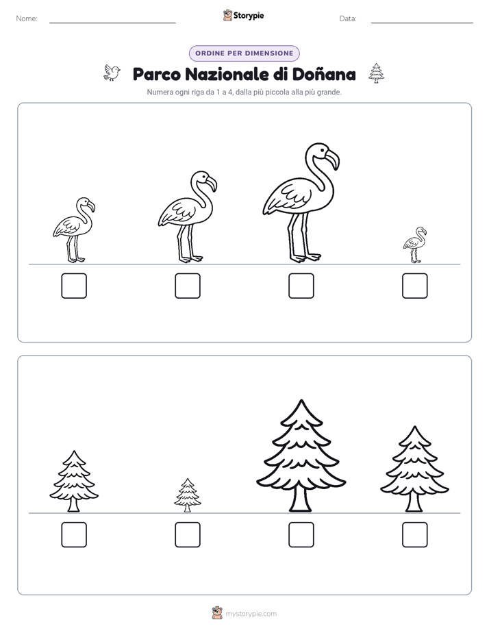 Ordine di Dimensione