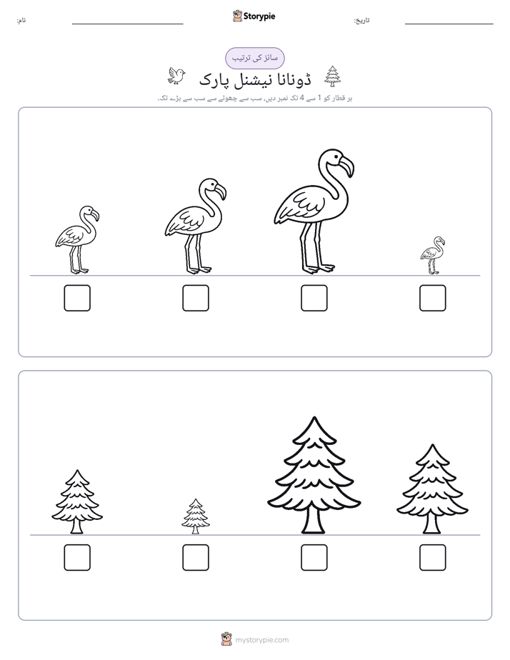سائز کی ترتیب