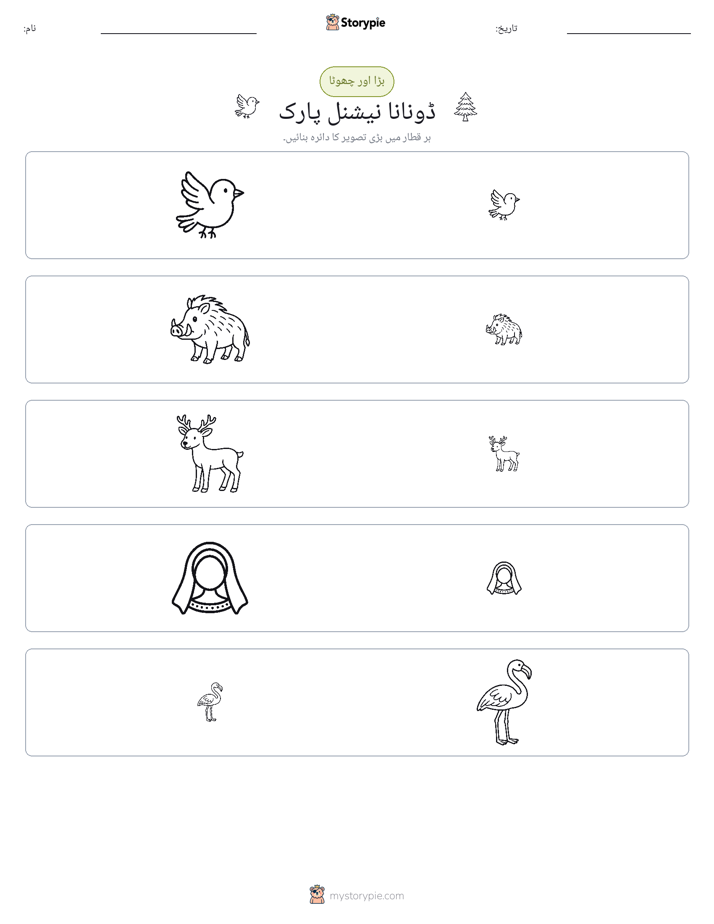 ترتیب دینا