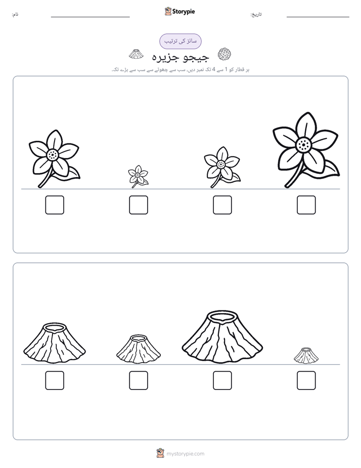 سائز کی ترتیب