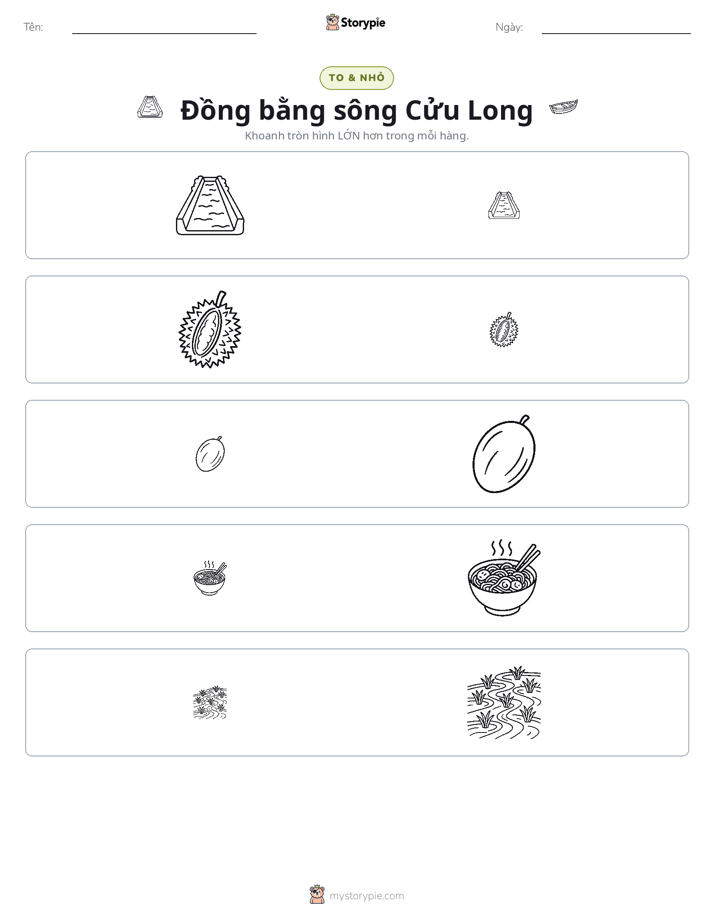 Phân Loại