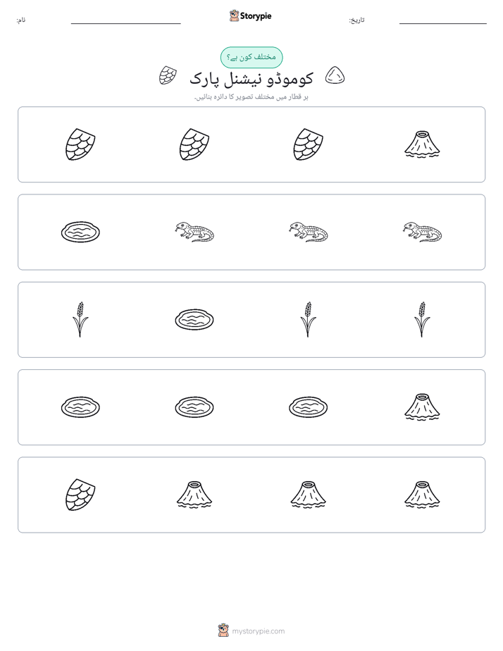عجیب ایک