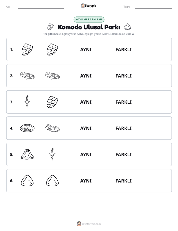 Aynı mı Farklı mı
