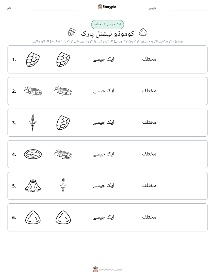 ایک جیسا یا مختلف