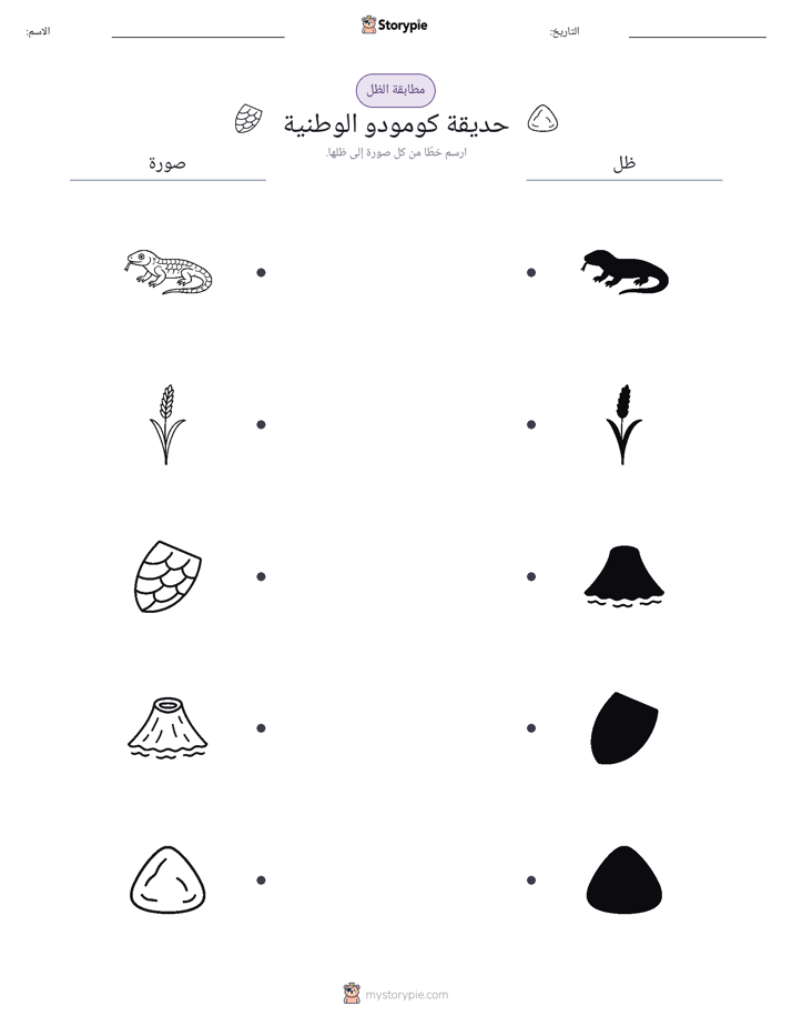 مطابقة الظل