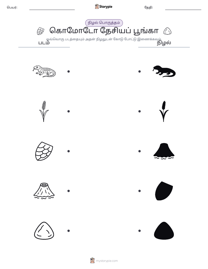 நிழல் பொருத்தம்