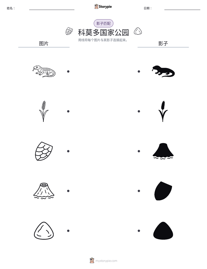 影子匹配