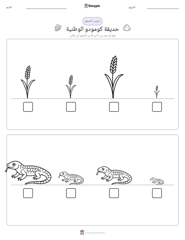 ترتيب الحجم