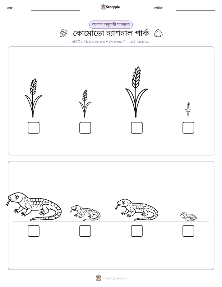 আকারের ক্রম