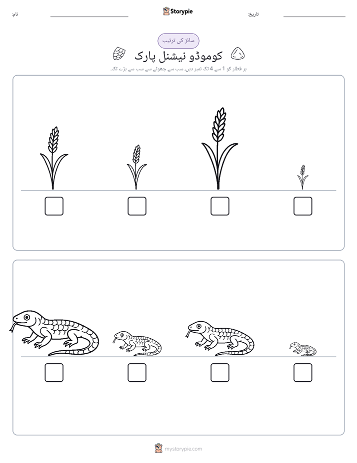 سائز کی ترتیب