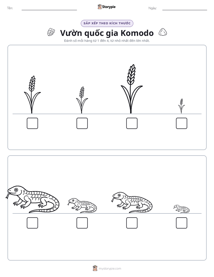 Thứ Tự Kích Thước