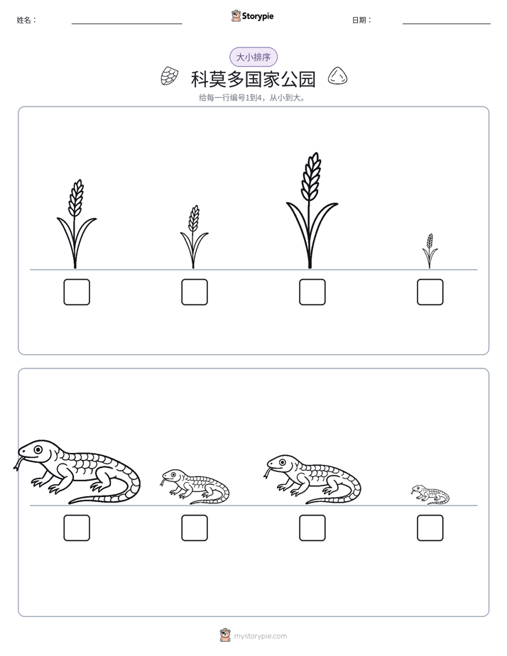 大小排序