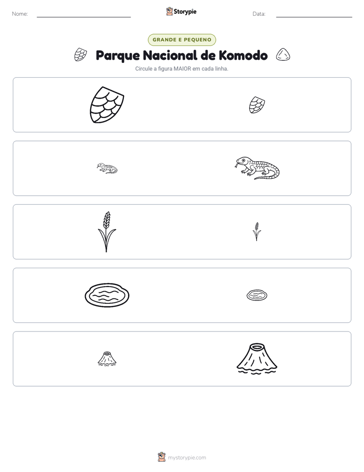 Classificação