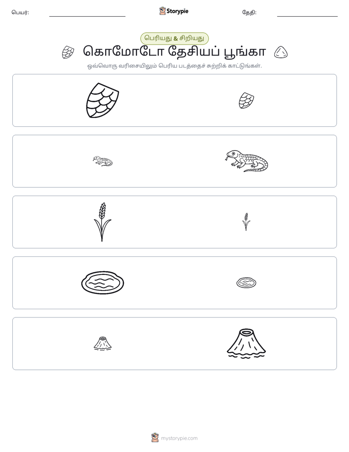 வகைப்படுத்தல்