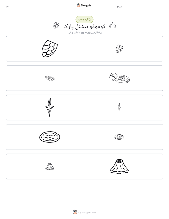 ترتیب دینا
