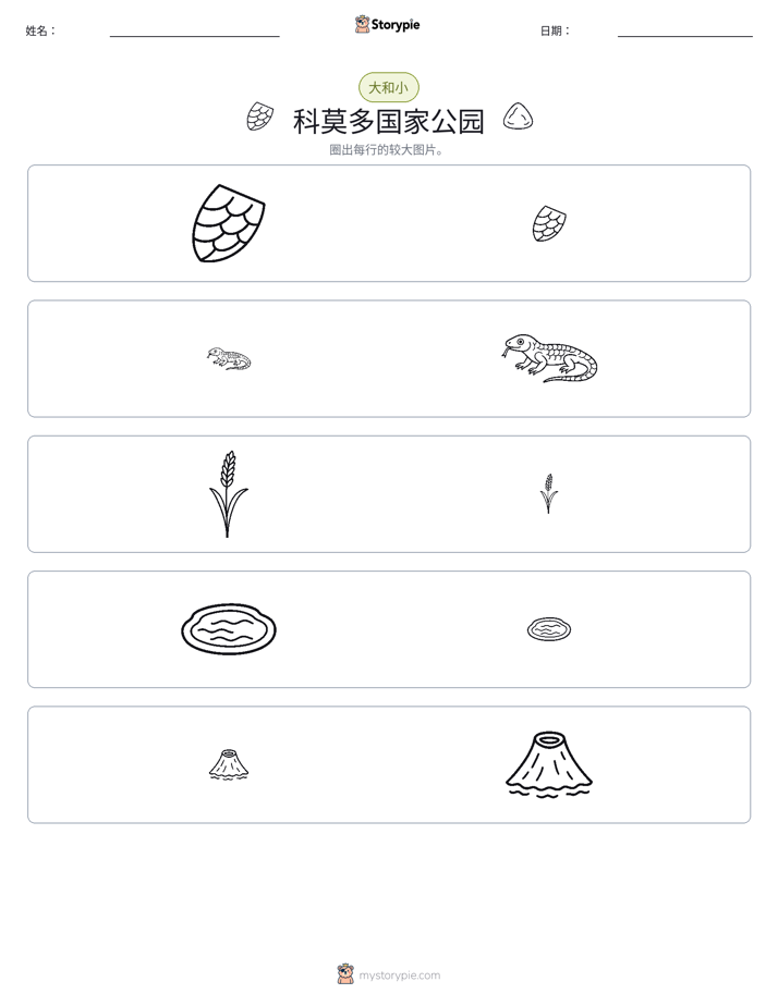 分类
