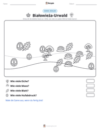 Białowieża-Urwald druckbare Arbeitsblatt Vorschau