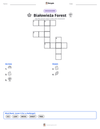 Białowieża Forest printable worksheet preview