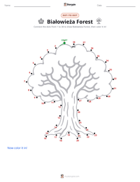 Białowieża Forest printable worksheet preview