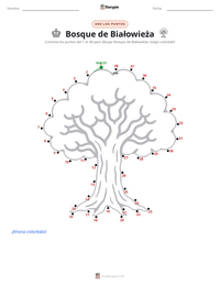 Vista previa de la hoja de trabajo imprimible de Bosque de Białowieża