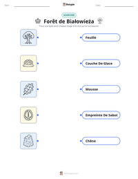 Aperçu de la feuille de travail imprimable Forêt de Białowieża