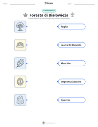 Anteprima della scheda stampabile di Foresta di Białowieża