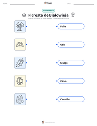 Prévia da folha de atividades imprimível Floresta de Białowieża