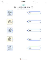 比亚沃维耶扎森林 可打印工作表预览