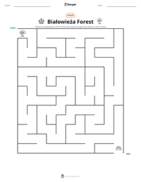Białowieża Forest printable worksheet preview