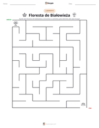 Prévia da folha de atividades imprimível Floresta de Białowieża