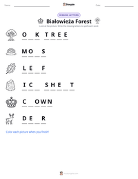 Białowieża Forest printable worksheet preview