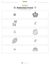Białowieża Forest printable worksheet preview