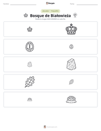 Vista previa de la hoja de trabajo imprimible de Bosque de Białowieża