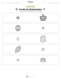 Aperçu de la feuille de travail imprimable Forêt de Białowieża