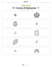 Anteprima della scheda stampabile di Foresta di Białowieża