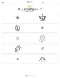 比亚沃维耶扎森林 可打印工作表预览