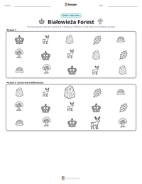 Białowieża Forest printable worksheet preview