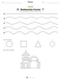 Białowieża Forest printable worksheet preview