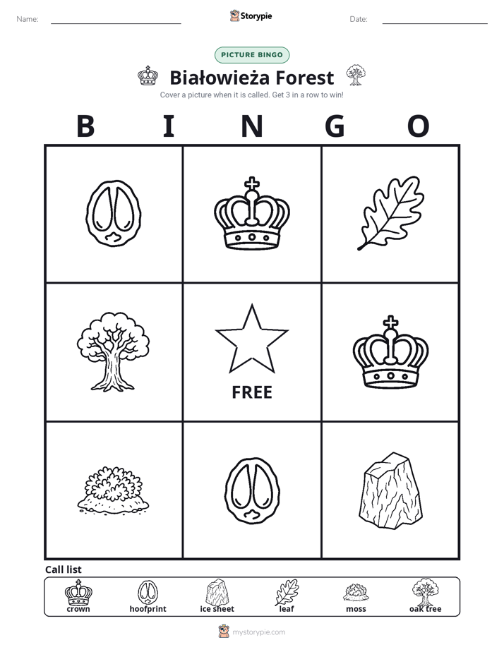 Picture Bingo