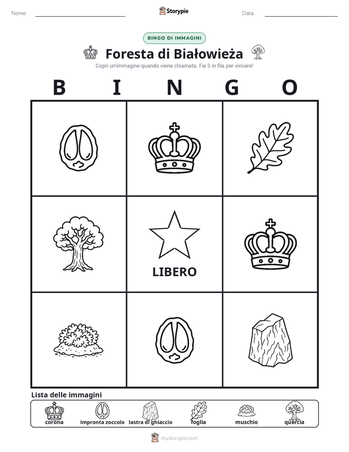 Bingo delle Immagini