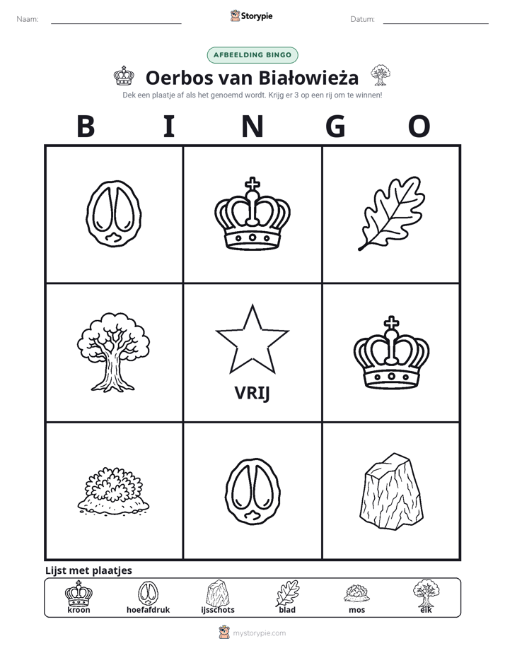 Afbeelding Bingo