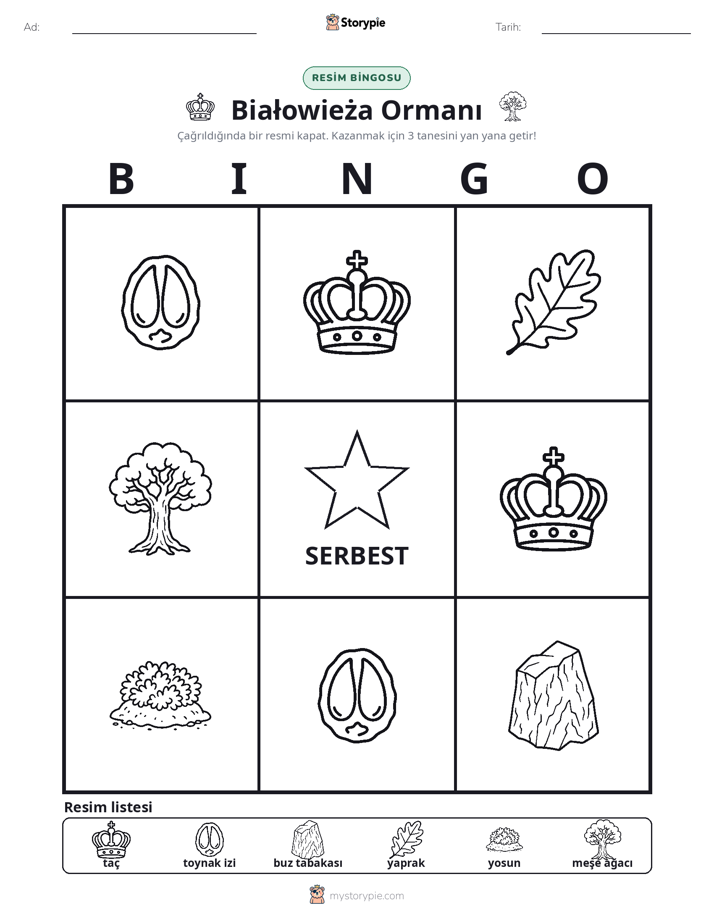 Resim Bingo
