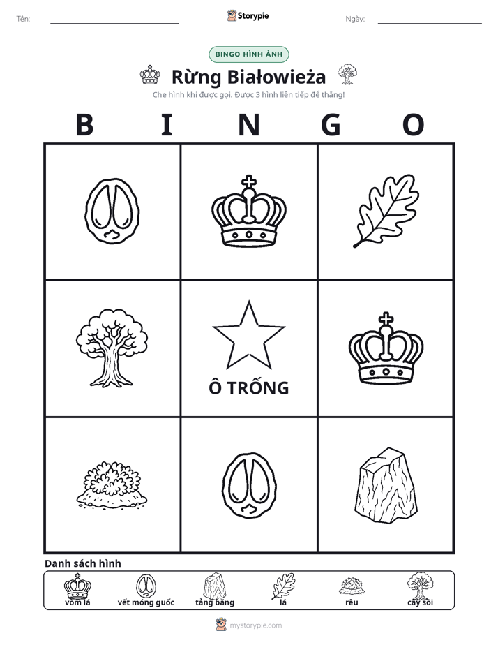 Bingo Hình Ảnh
