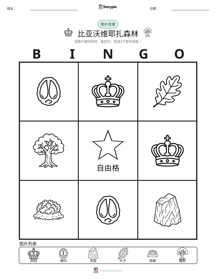 图片宾果