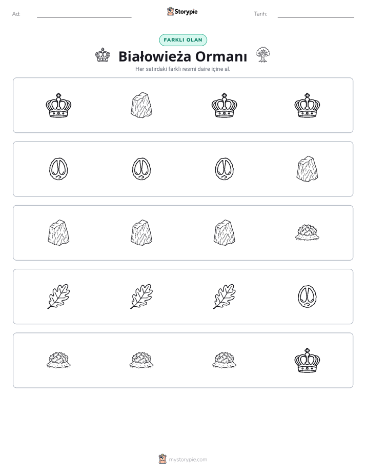 Farklı Olanı Bul