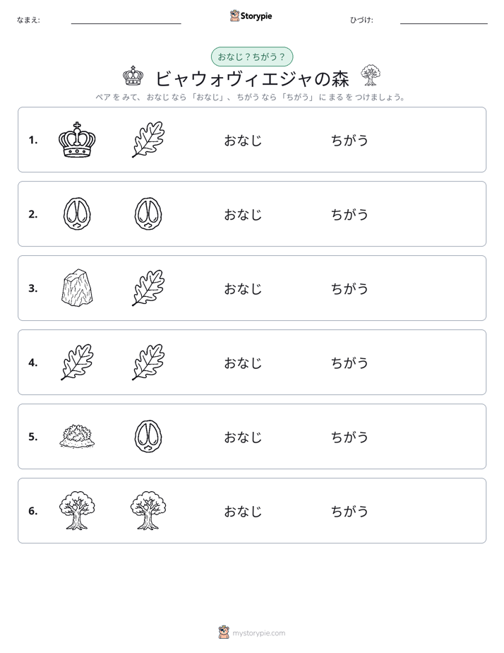 同じか違うか